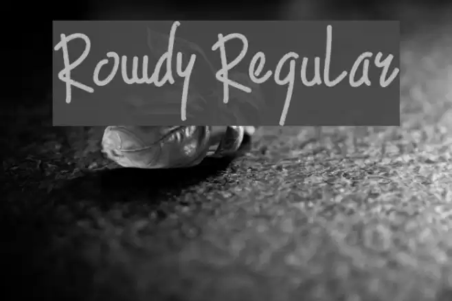 Rowdy Regular フォント examples
