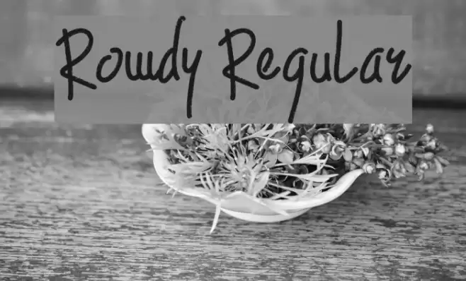 Rowdy Regular フォント examples