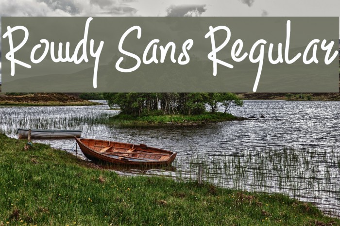 Rowdy Sans Regular Font examples