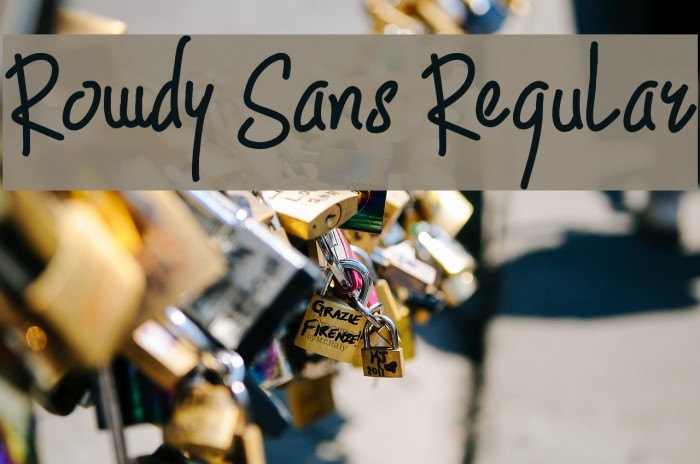 Rowdy Sans Regular Font examples