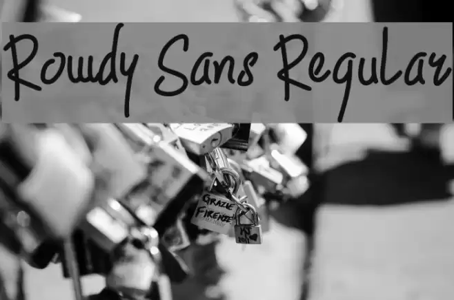Rowdy Sans Regular フォント examples