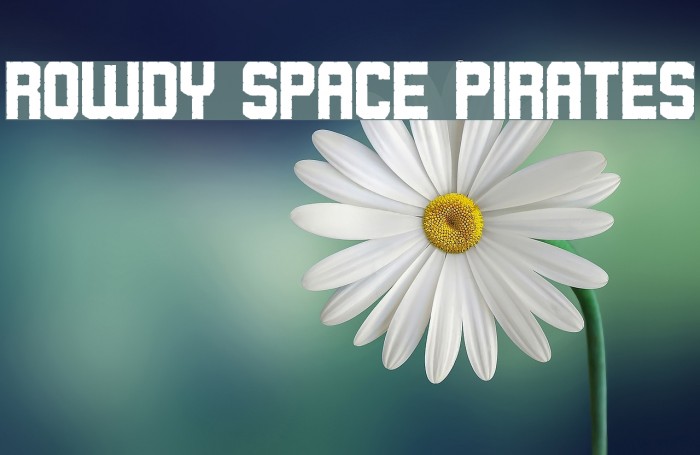 Rowdy Space Pirates Font examples