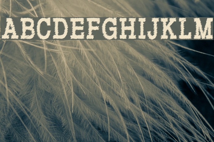 RowdyTypemachine-CondensedBold Font examples