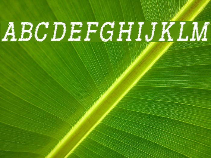 RowdyTypemachine-CondensedItali Example 3