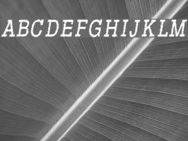 RowdyTypemachine-CondensedItali Font examples