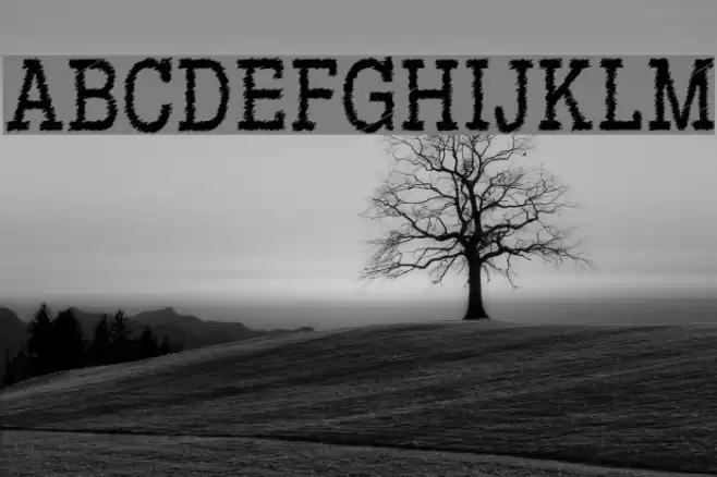 RowdyTypemachine-CondensedRegul Font examples