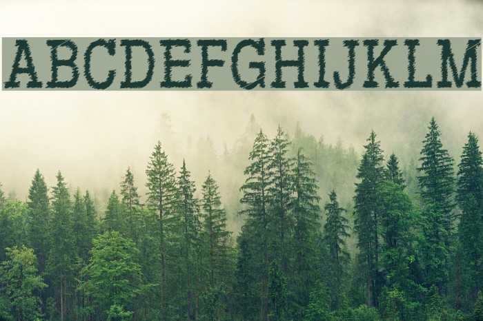 RowdyTypemachine-CondensedRegul Font examples