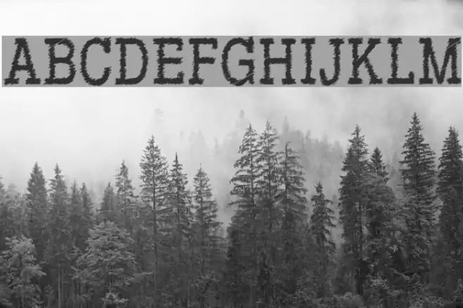 RowdyTypemachine-CondensedRegul Font examples