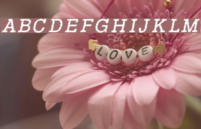 RowdyTypemachine-Italic Font examples