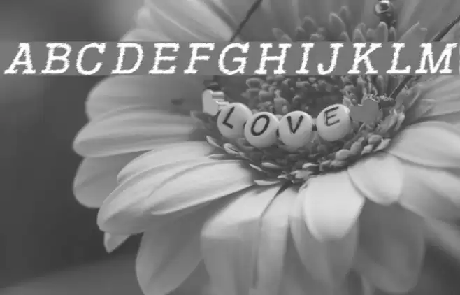 RowdyTypemachine-Italic フォント examples