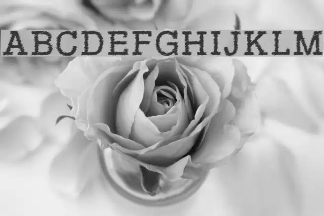 RowdyTypemachine フォント examples