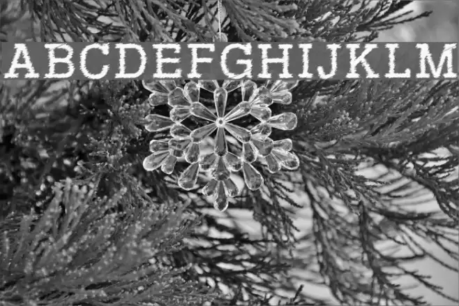 RowdyTypemachine フォント examples