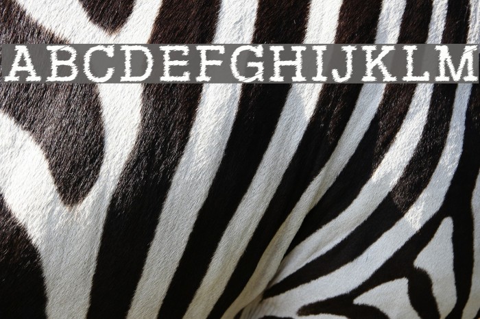 RowdyTypemachine フォント examples