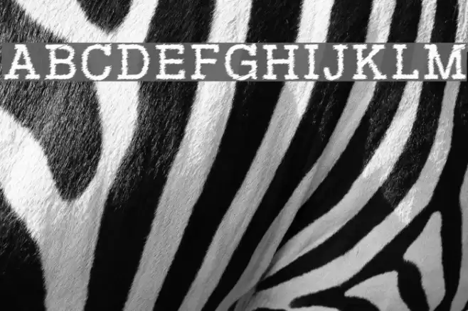 RowdyTypemachine フォント examples