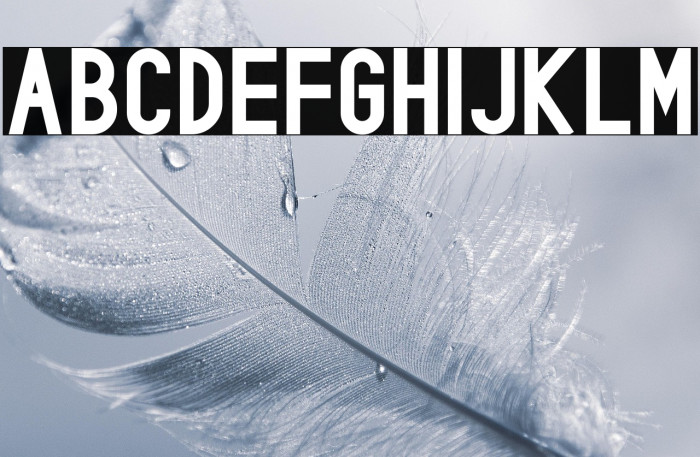 Rowland Bold Example 1