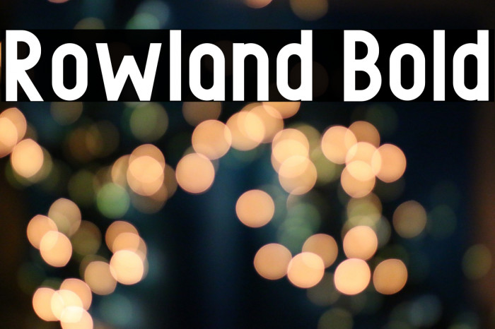 Rowland Bold Font examples