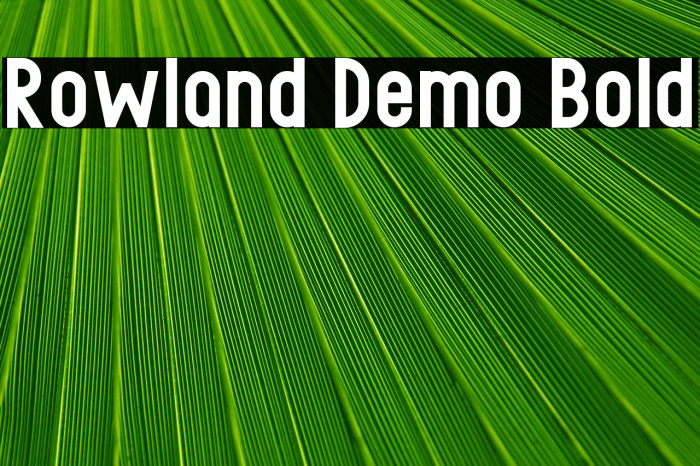 Rowland Demo Bold Example 1