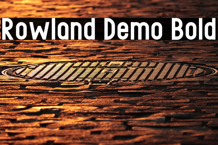 Rowland Demo Bold Example 2