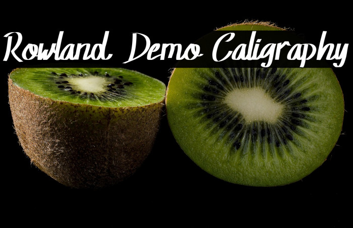 Rowland Demo Caligraphy Example 1