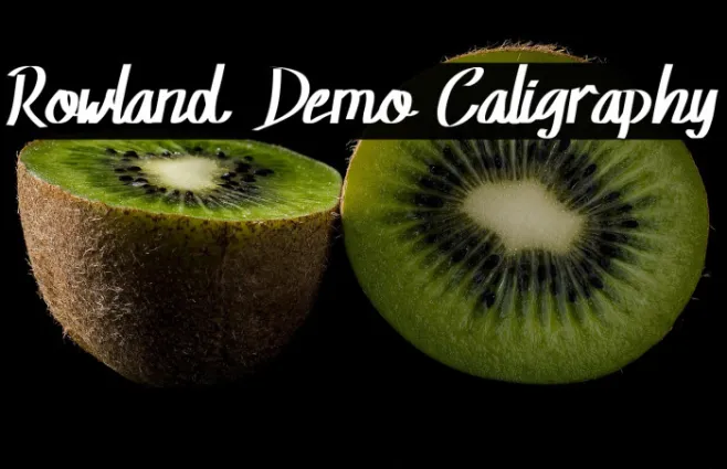 Rowland Demo Caligraphy Example 1
