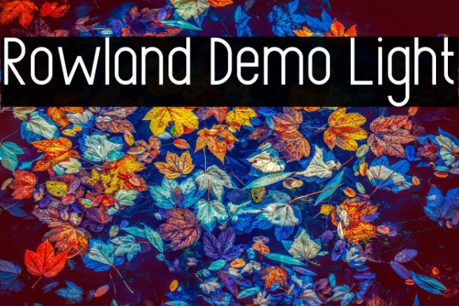 Rowland Demo Light Example 1