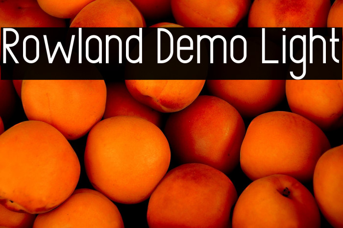 Rowland Demo Light Example 2