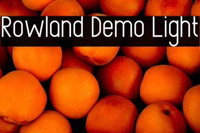 Rowland Demo Light Example 2