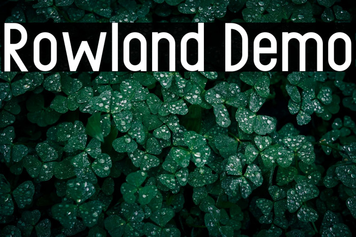 Rowland Demo Example 2