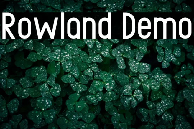 Rowland Demo Example 2