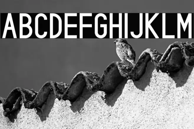 Rowland Font examples