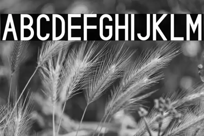 Rowland Font examples