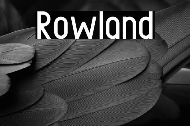 Rowland Font examples