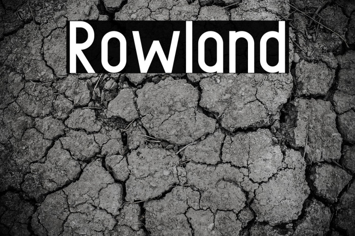 Rowland फ़ॉन्ट examples