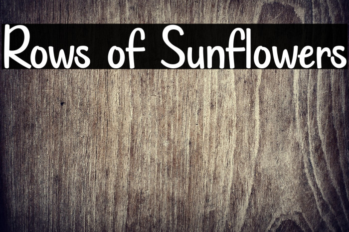 Rows of Sunflowers Example 1