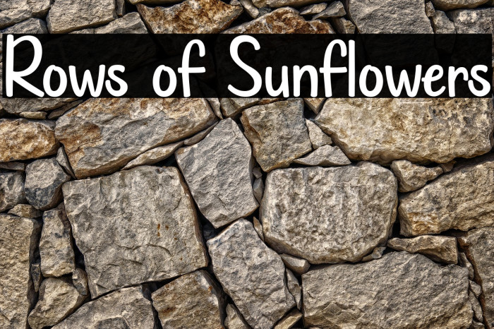 Rows of Sunflowers Example 2