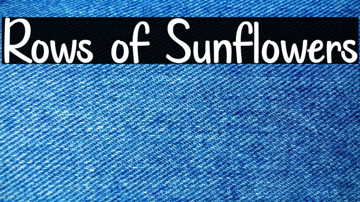 Rows of Sunflowers Example 3