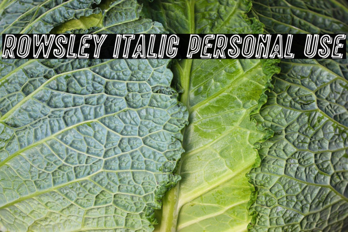 Rowsley Italic Personal Use Example 1