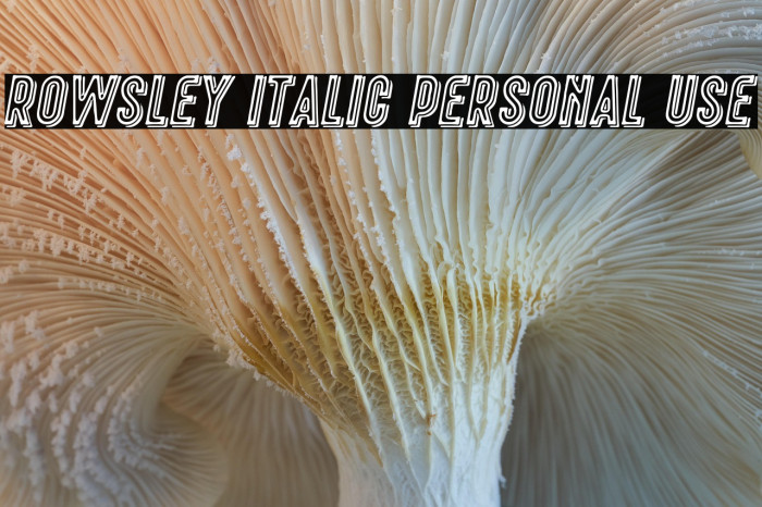 Rowsley Italic Personal Use Example 3