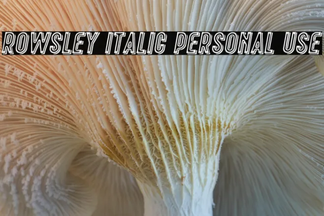 Rowsley Italic Personal Use Example 3