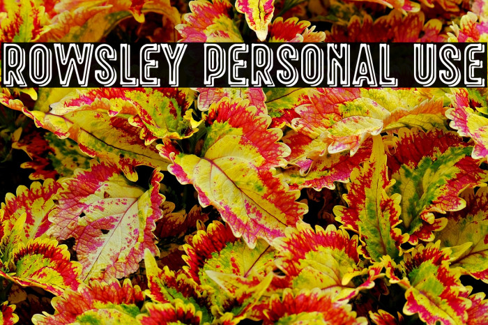 Rowsley Personal Use Example 1