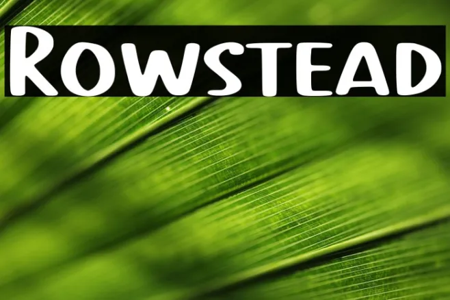 Rowstead Example 2