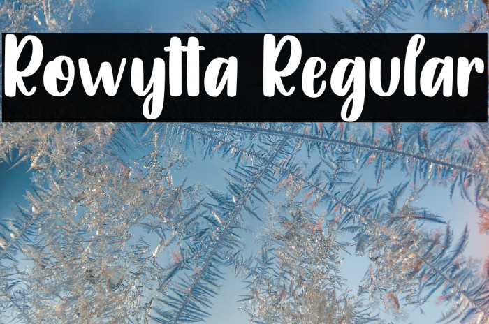 Rowytta Regular Example 1