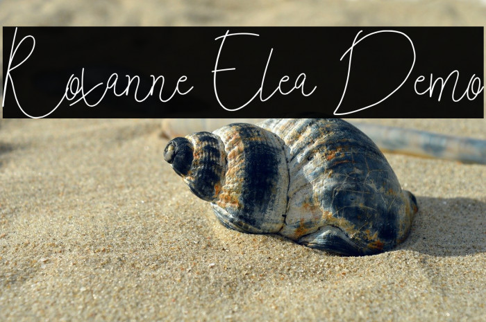 Roxanne Elea Demo Example 1