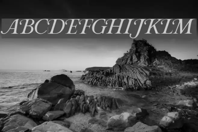 Roxanne Font examples