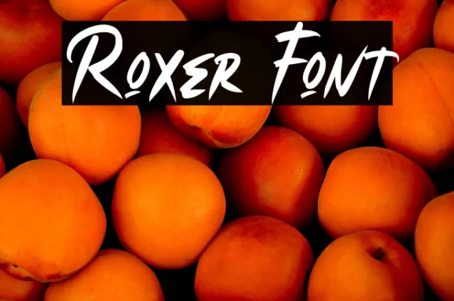 Roxer Example 3