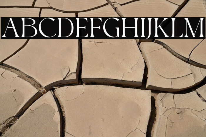 Roxie Rossa Example 1