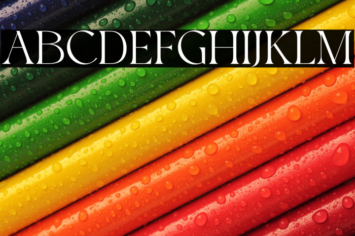 Roxie Rossa Example 2