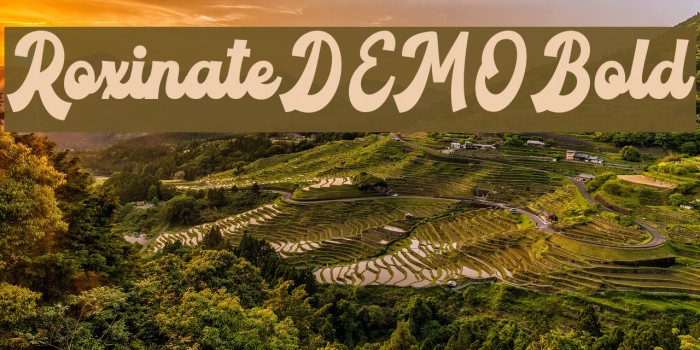 RoxinateDEMO-Bold Font examples