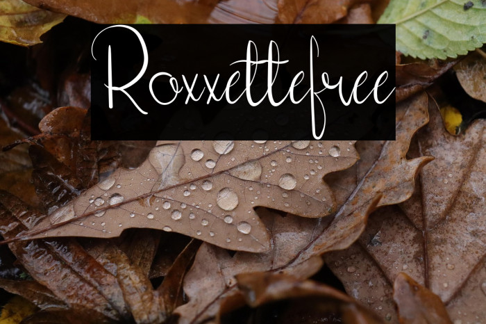 Roxxettefree Example 2