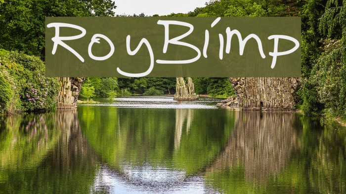 RoyBlimp Font examples